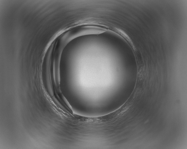 X0000052651146200507011406
