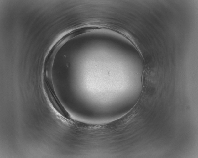 X0000052651147200507011406