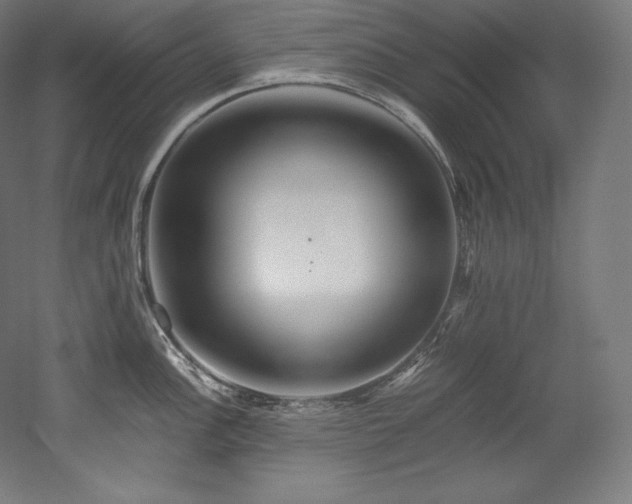 X0000052651148200507011406