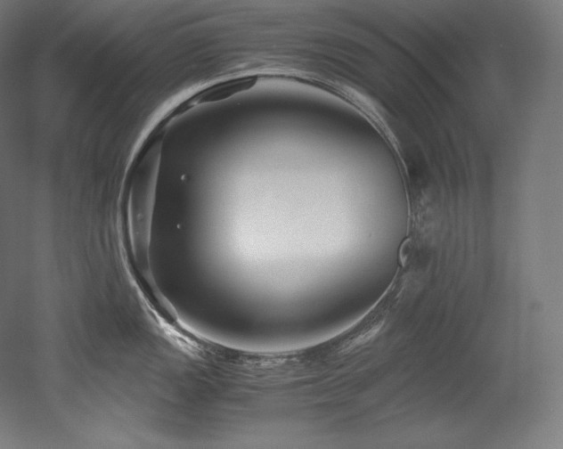 X0000052651149200507011406