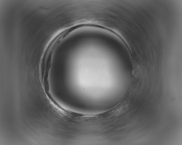 X0000052651151200507011406