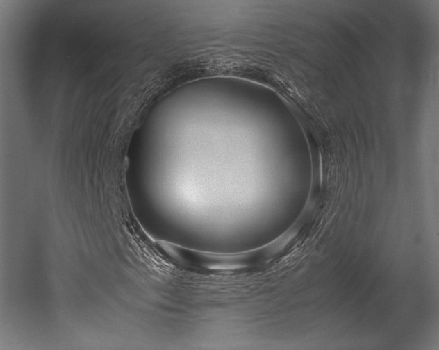 X0000052651153200507011405