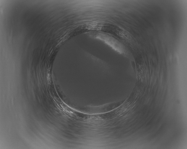 X0000052651154200507011405