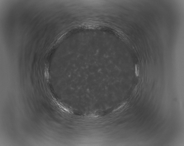 X0000052651155200507011405