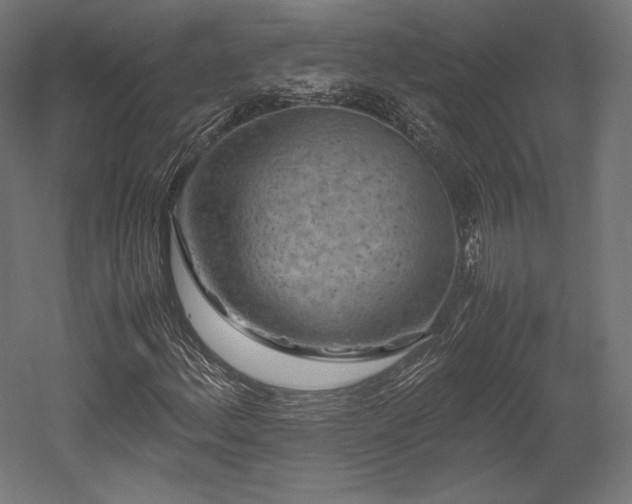 X0000052651156200507011405