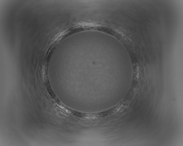 X0000052651157200507011405