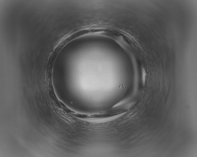 X0000052651160200507011405