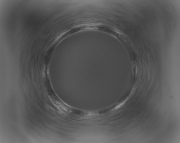 X0000052651161200507011405