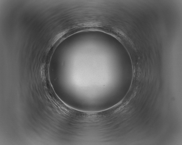 X0000052651162200507011405