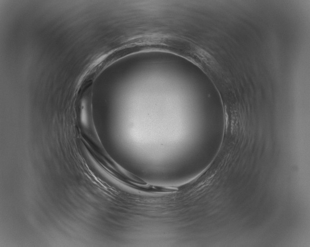 X0000052651164200507011405