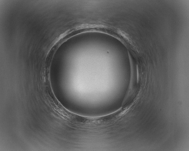 X0000052651165200507011405