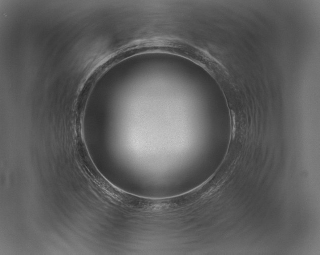 X0000052651166200507011405