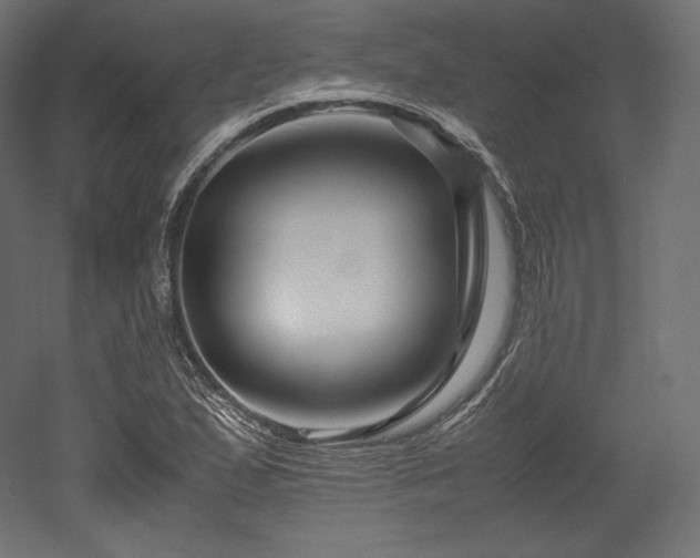 X0000052651167200507011405