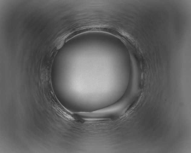 X0000052651169200507011405