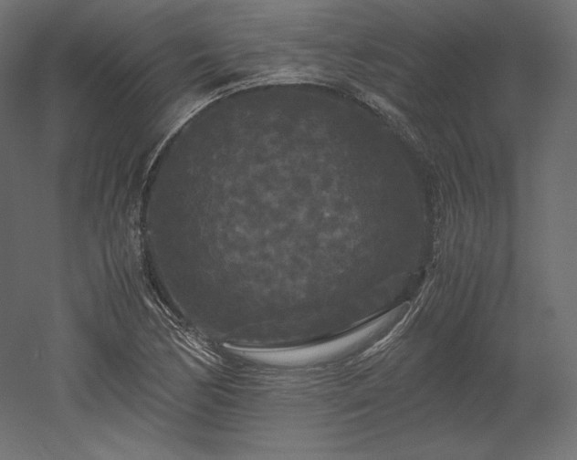 X0000052651170200507011405