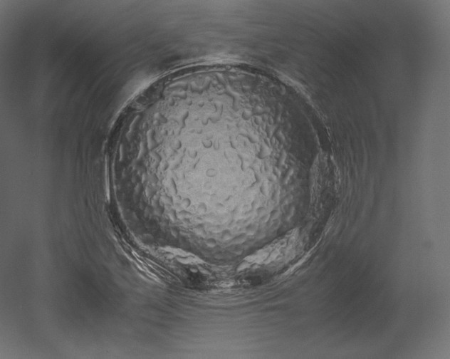X0000052651171200507011405