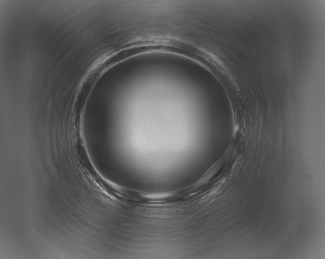 X0000052651172200507011405