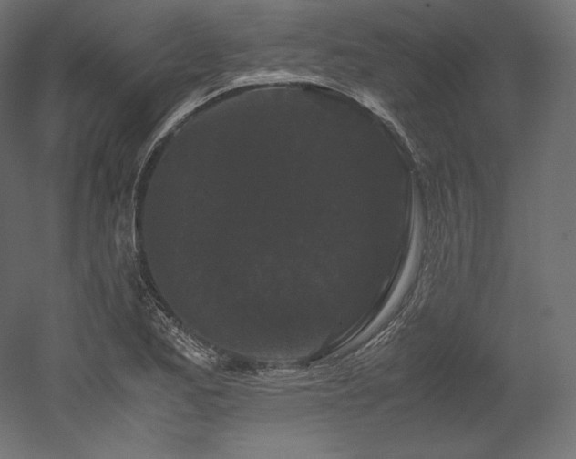 X0000052651173200507011404