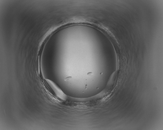 X0000052651175200507011404