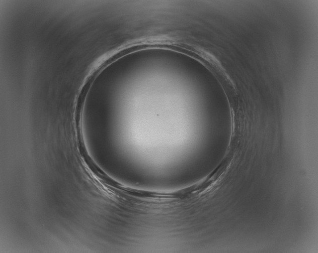 X0000052651176200507011404