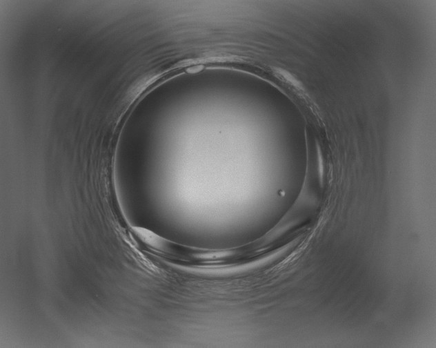 X0000052651177200507011404