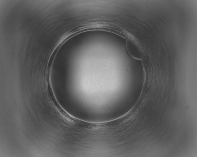 X0000052651178200507011404