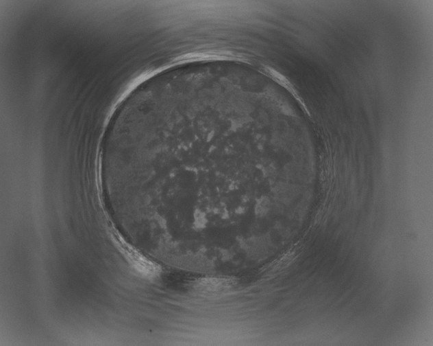 X0000052651179200507011404