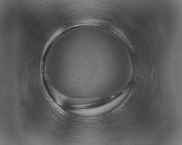 X0000052651180200507011404