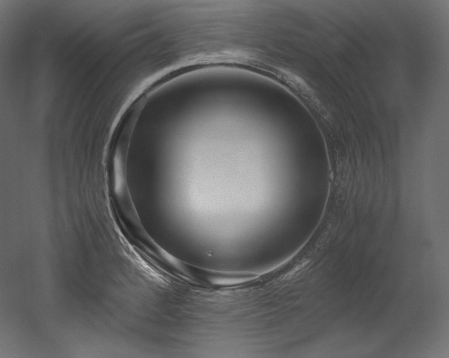 X0000052651184200507011404