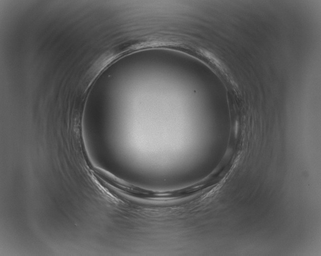 X0000052651185200507011404