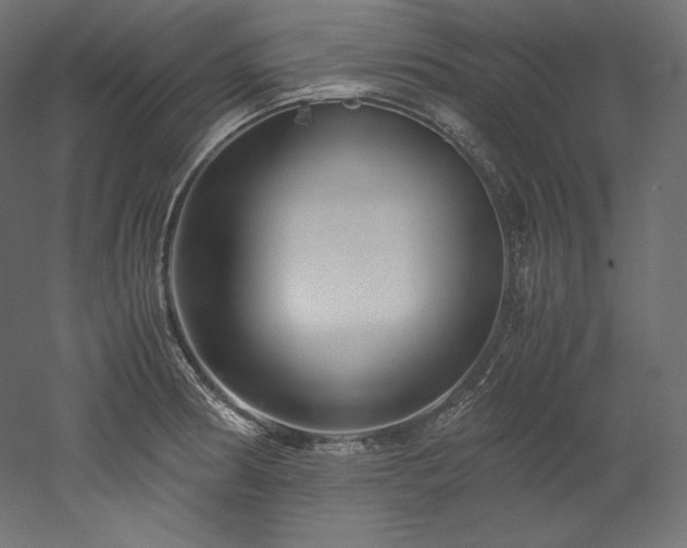 X0000052651186200507011404