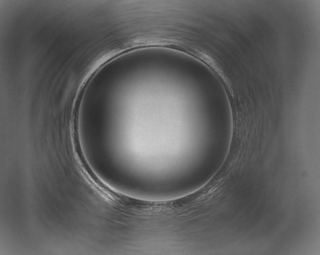 X0000052651187200507011404