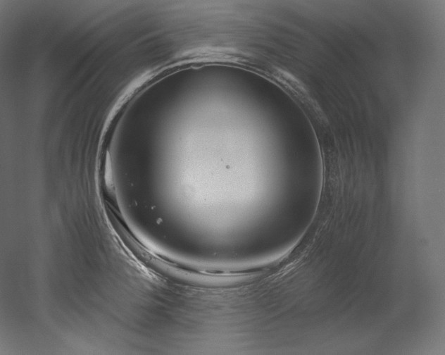 X0000052651188200507011404