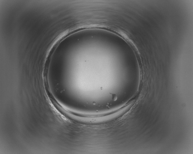 X0000052651189200507011404