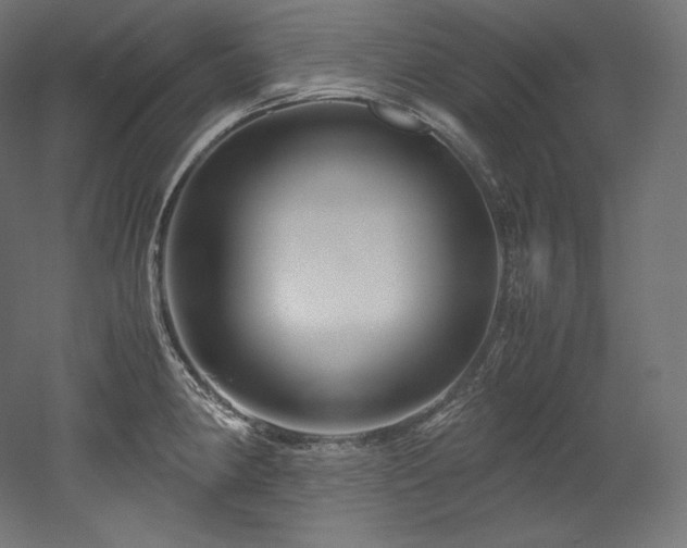 X0000052651190200507011404