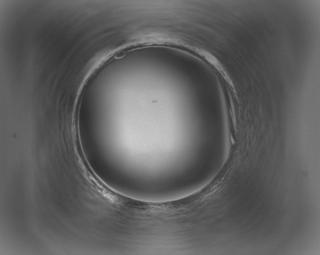 X0000052651191200507011404