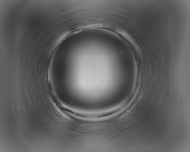 X0000052651193200507011404