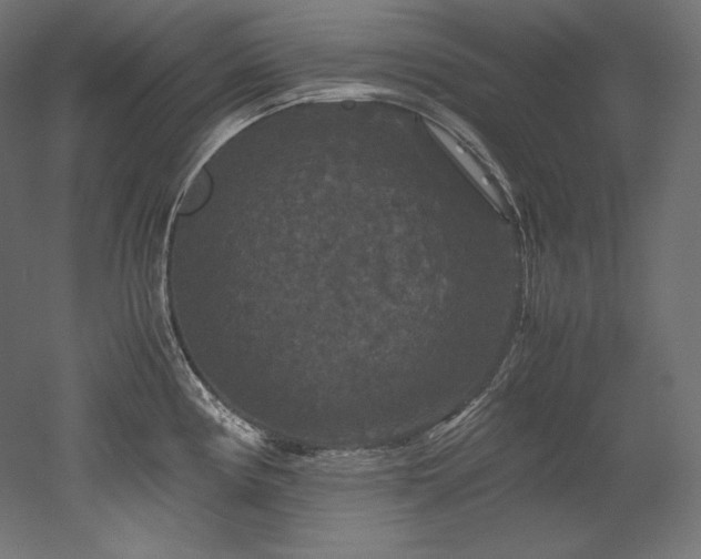 X0000052651194200507011404
