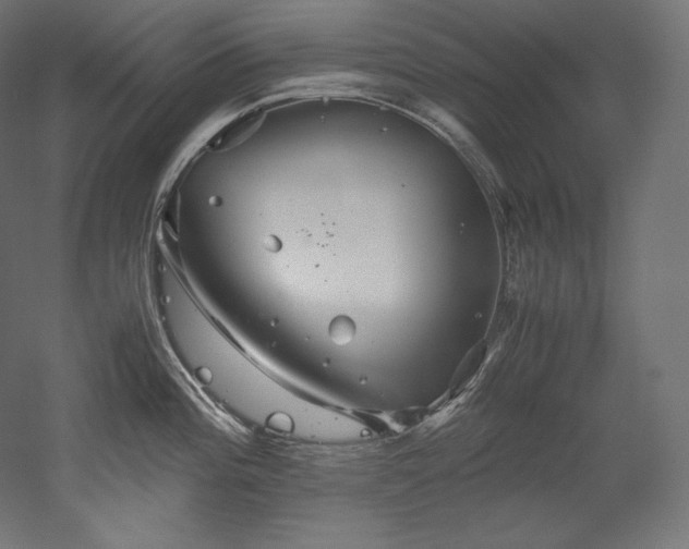 X0000052651196200507011404