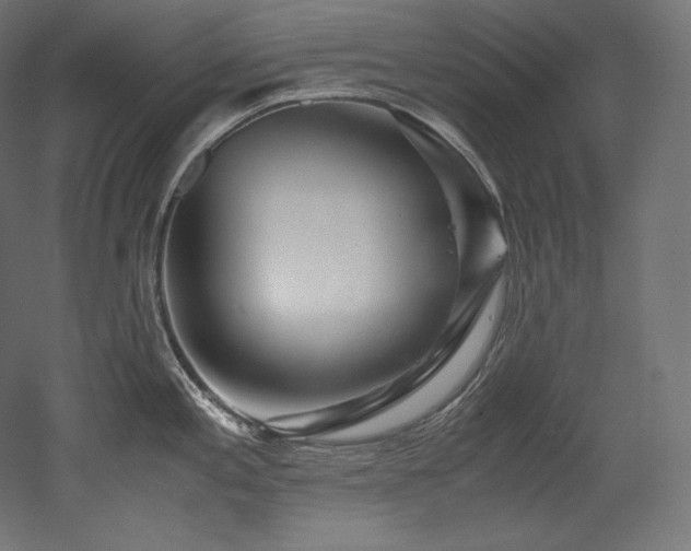 X0000052651197200507011404