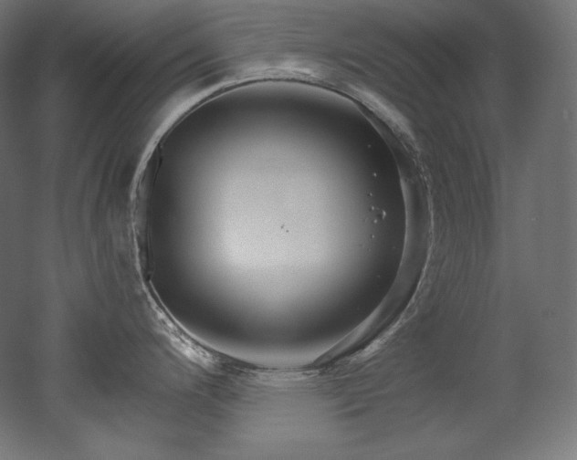 X0000052651200200507011404