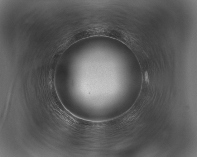 X0000052651203200507011403