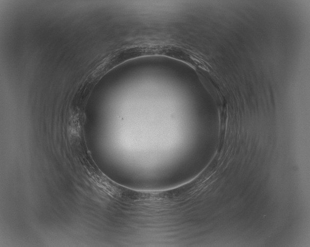X0000052651204200507011403