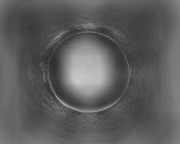 X0000052651205200507011403