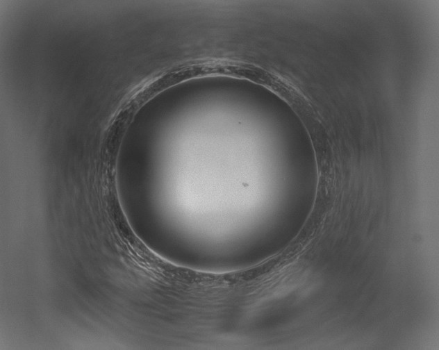 X0000052651207200507011403