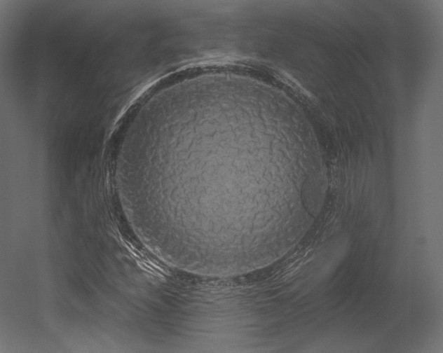 X0000052651208200507011403