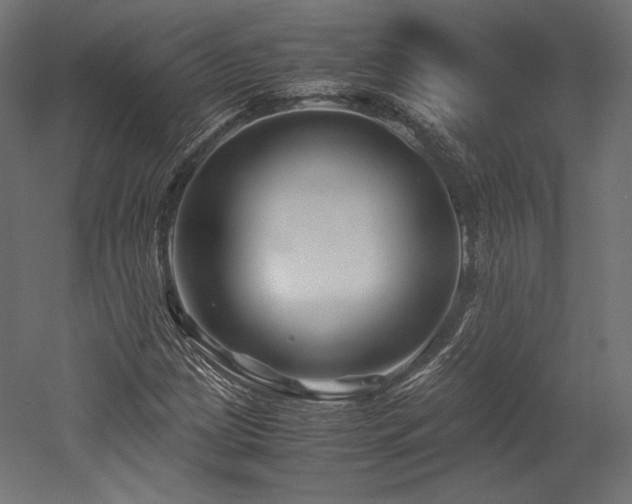 X0000052651209200507011403
