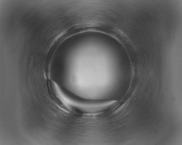 X0000052651210200507011403