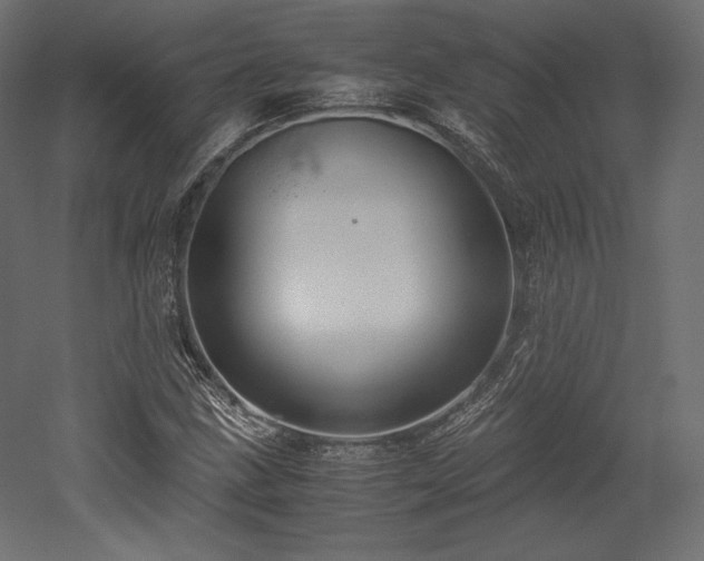 X0000052651211200507011403