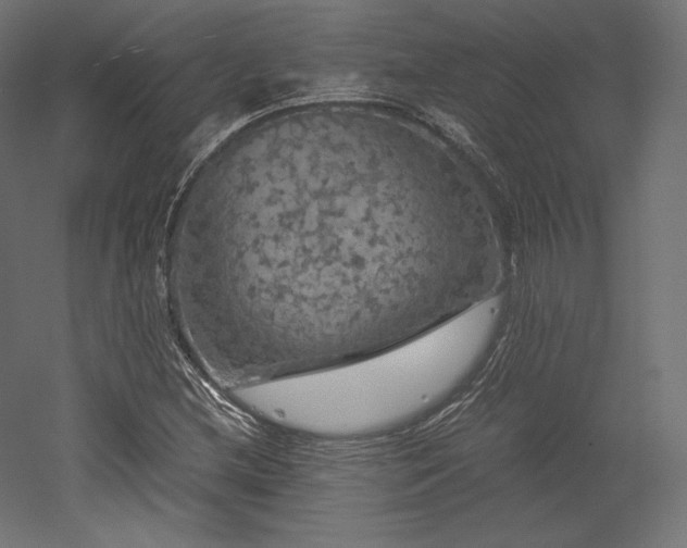 X0000052651212200507011403